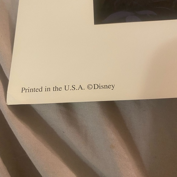 Disney Exclusive Commemorative Lithograph with Green Frame - Picture 4 of 8